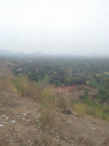 Pavitra upvan