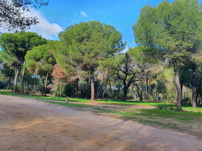 Echarenas Recreational Area (Área Recreativa Echarenas)