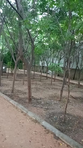 Plant Doctor's Colony Park Sree Lalitha nilayam