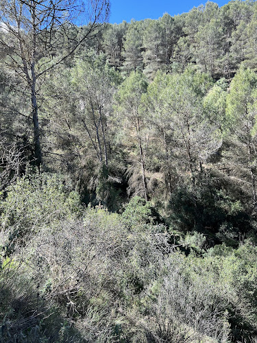 Cave Stream (Arroyo de la Cueva)