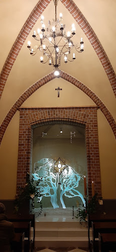 John Paul II Oak Tree