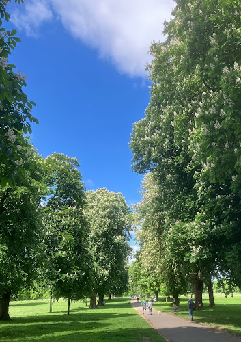 Llandaff Fields
