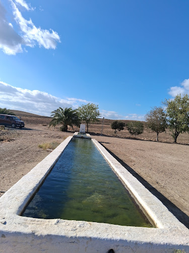 Pilar de la Torvizca