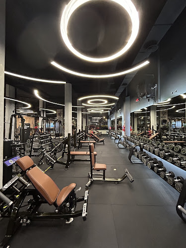 The Mecca Fitness Congress (La Mecca Fitness Congreso)