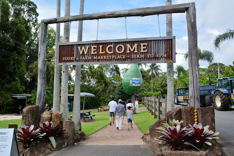 Tropical Fruit World