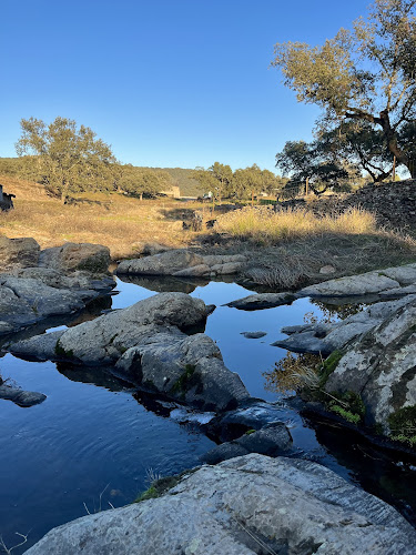 High Bujo Trail (Sendero Alto del bujo)