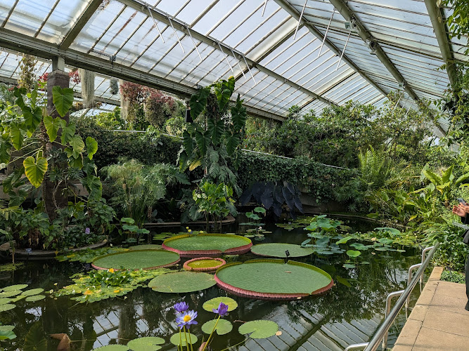 Princess of Wales Conservatory