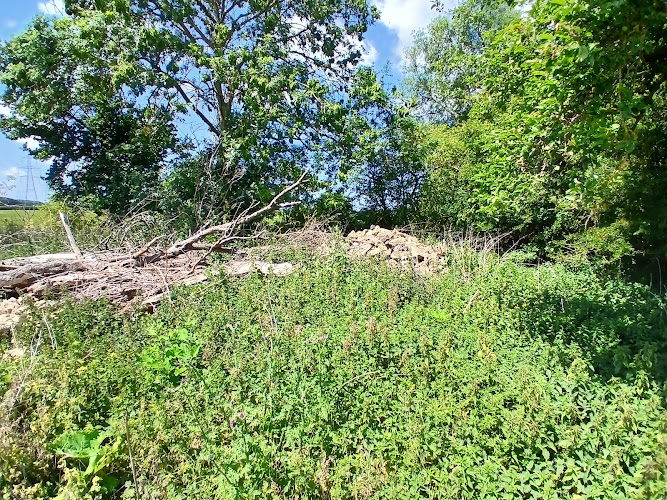Blind Pinnocks Inn (site of)