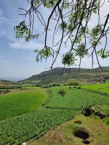 Ain Salama village (مدشر عين سلامة)