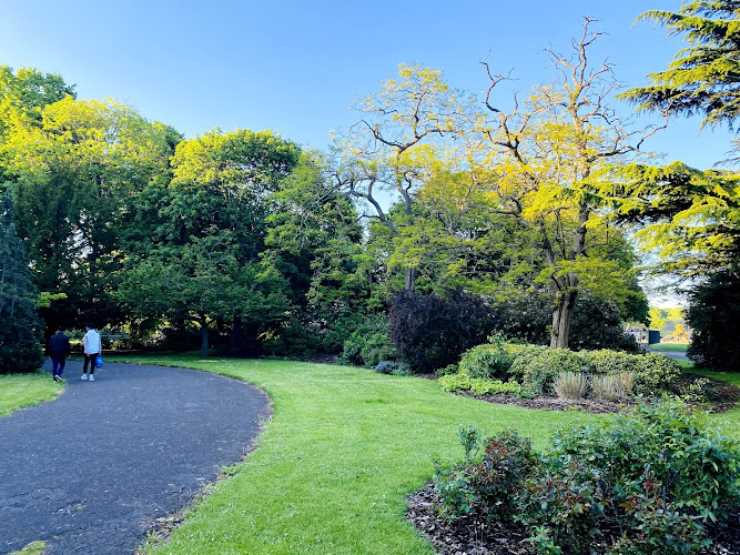 Barking Park