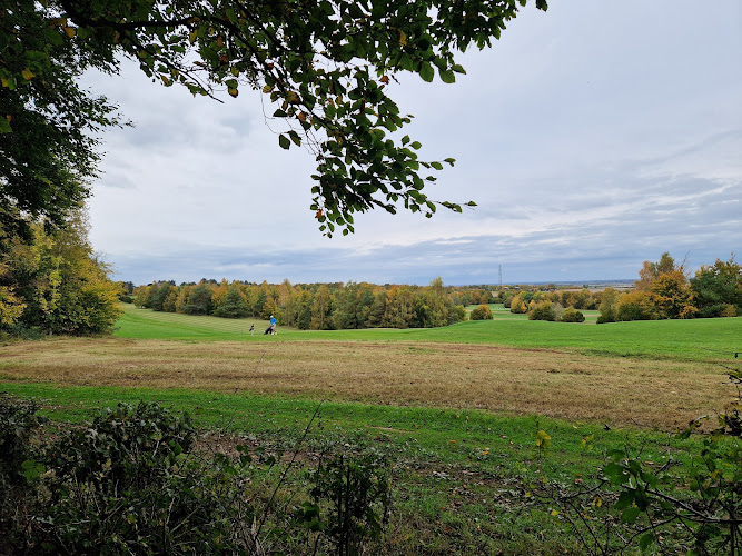 Wildlife Trust BCN Beechwoods Nature Reserve