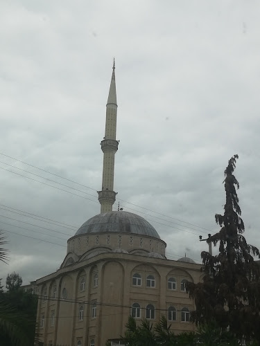Grand Mosque (Ulu Cami)