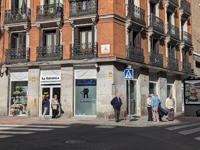 The Cat Library (La Gatoteca)