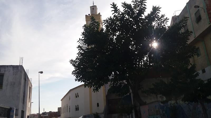 Rose Mosque (مسجد الوردة)