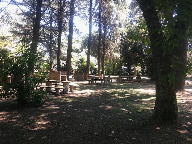 LCB MEETING PLACE (LUGAR DE ENCUENTRO LCB)