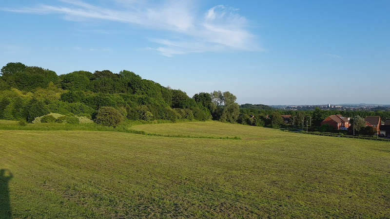 Groundwell Ridge Roman Site