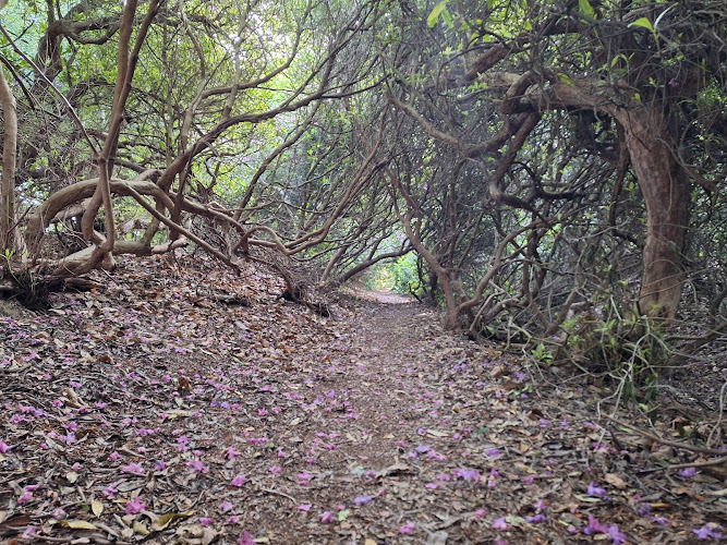 Grimsdyke Open Space
