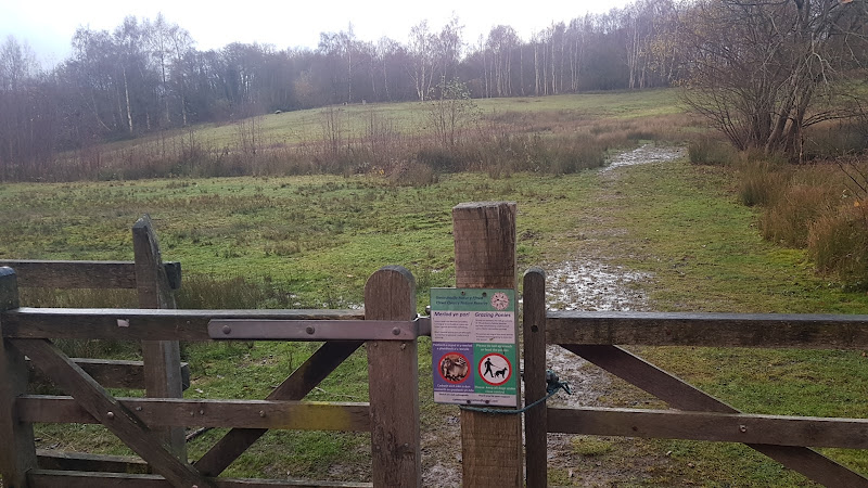 Stream quarry nature reserve (Ffrwd quarry nature reserve)