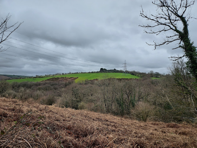 Old Industries and New Park Circular Walk