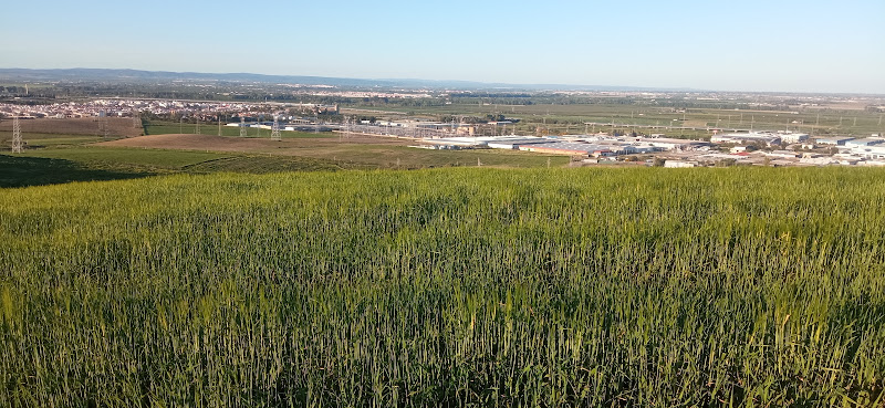 Flax Hill (Cerro del Lino)