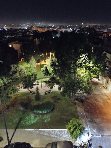 Beautiful View (Belle Vue)