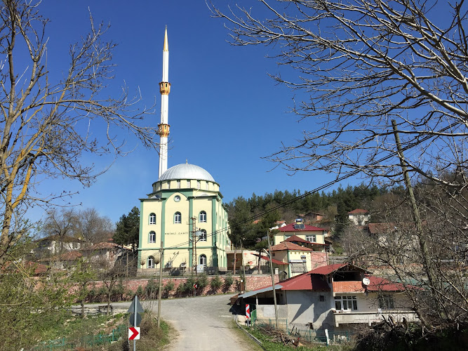Emirli Bay Mosque (Emirli Koyu Mosque)