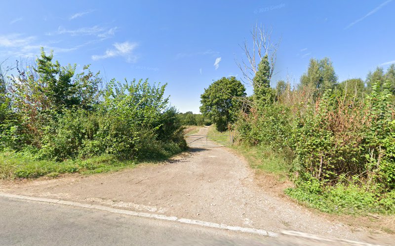 Bottoms Corner Wood