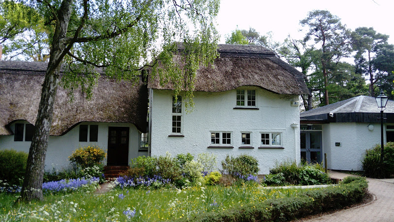 The International Garden Cities Exhibition