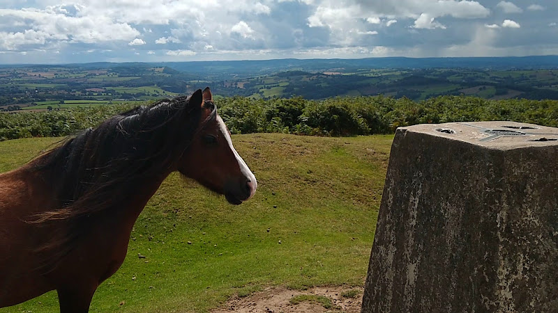 Garway Hill