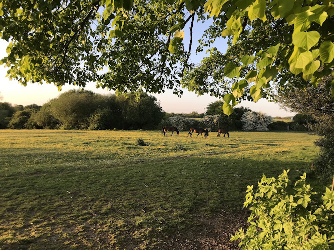 Oaks Lane Recreation Ground